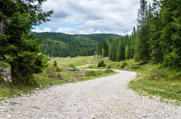 Cost of Gravel Road Grading in Vancouver