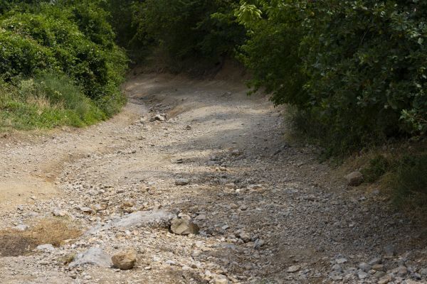 Cost of Gravel Road Pothole Repair in Vancouver