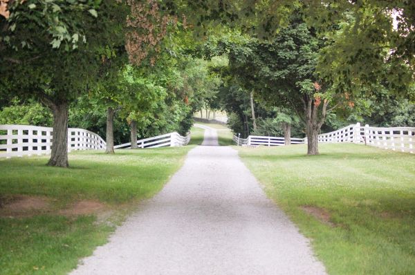 Cost of Gravel Road Installation in Vancouver