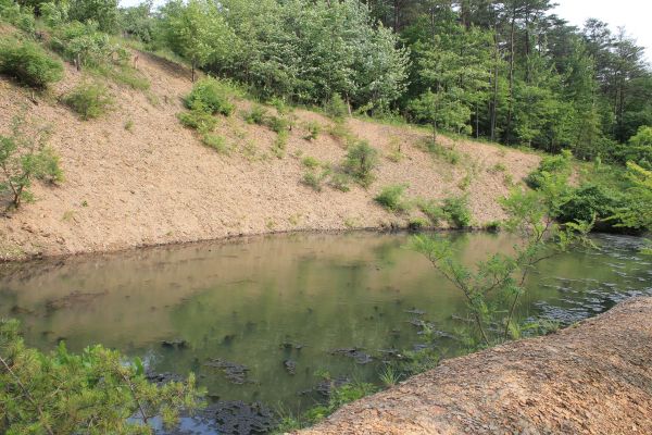 Cost of Pond Erosion Repair in Vancouver