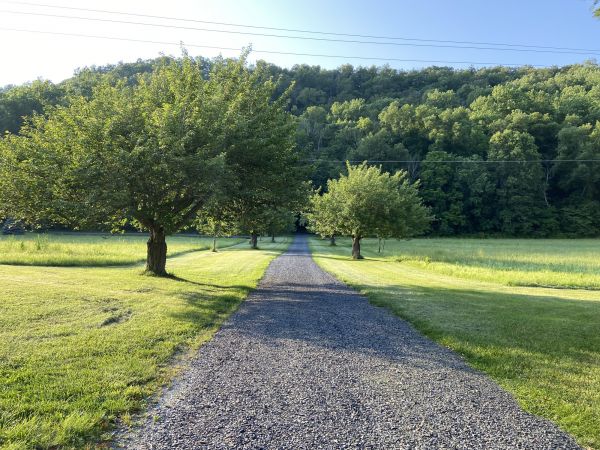 Cost of Gravel Road Construction in Vancouver