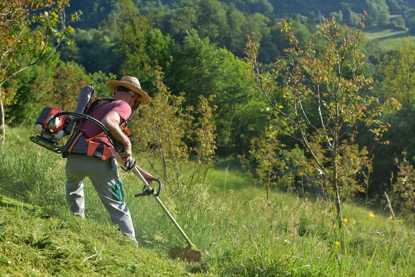 Cost of Slope Trimming in Vancouver